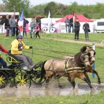 13ème Concours National d’Attelage
